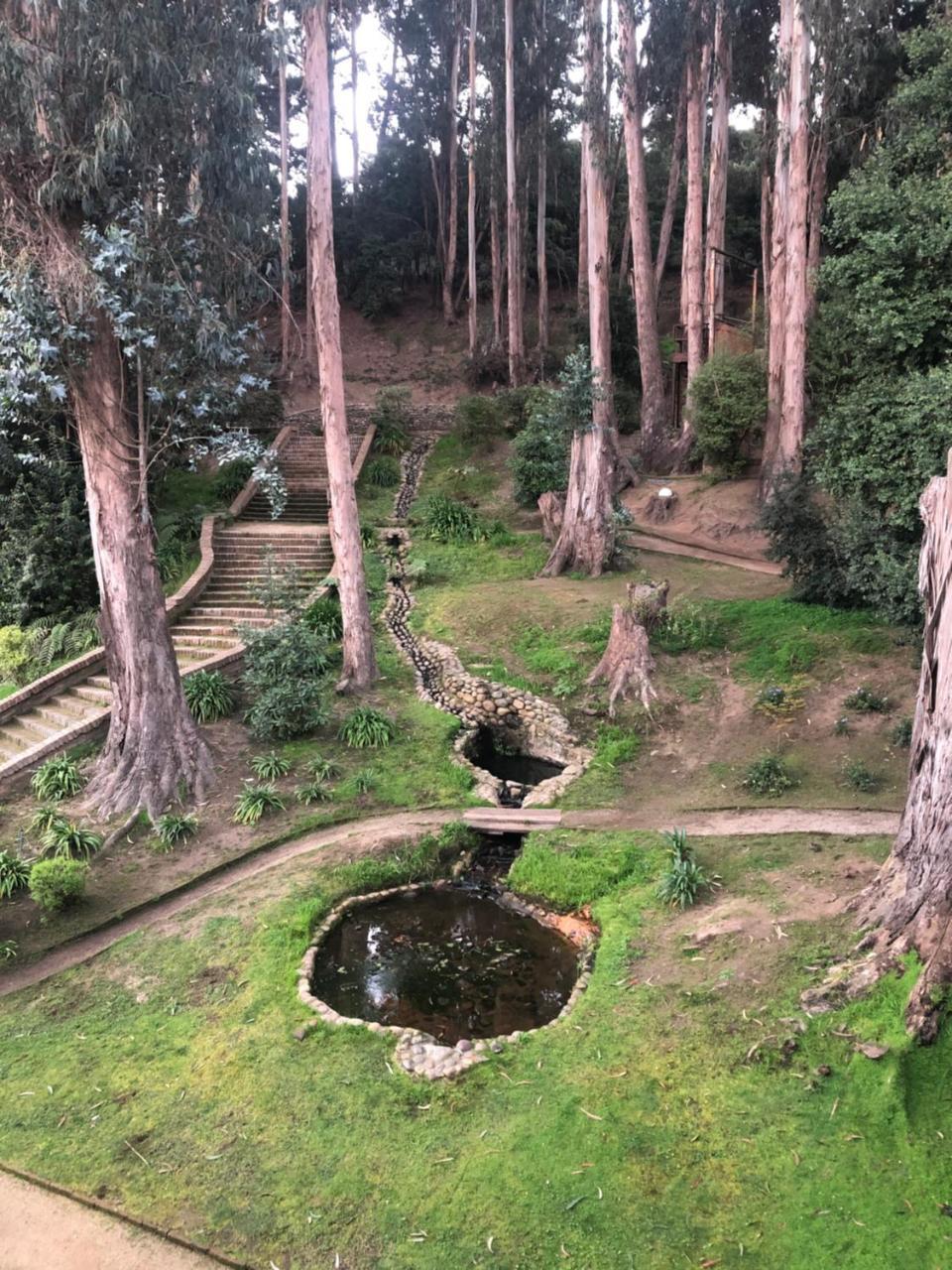 Hotel Bosque de Reñaca Viña del Mar Exterior foto